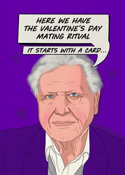 Sens your nature loving partner this hilarious David Attenborough card, to let them know how much they mean to you !