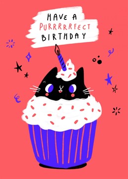 Treat your someone special to a purrrfect kitty cat cupcake for their birthday. Cat approved!