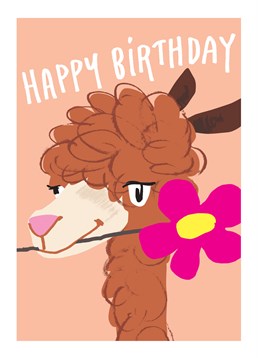 Camel Flower, by Noi. Is it just me or does this camel have particularly dreamy eyes? Send this cute birthday card so they don't get the hump!