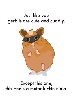 Gerbil Muthafuckin Ninja, by Objectables.Waaaaaaaahhhhhhaaahhhhhh! They might be soft and cuddly, but don't underestimate their ninja ways! Send this Birthday card with ninja stealth to make someone's day SO much better.
