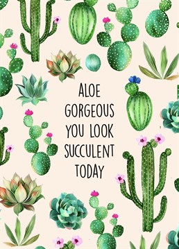 Send this gorgeous cactus inspired Anniversary card to a loved one to show them love and compliments! With stunning hand painted cactus along with the witty puns, this Anniversary card is sure to bring a smile to someones face