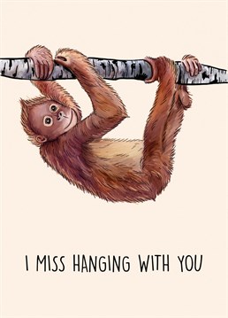 Send this adorable orang utan themed card to a loved one you miss. If the pandemic has stopped you from seeing certain family members or friends, this is the perfect card to send a smile! Lovely hand drawn monkey illustration hanging on a branch.