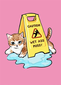 The perfect WAP Anniversary card to send a friend, girlfriend, partner, boyfriend.   This hilarious wet ass pussy illustration works well as a Anniversary card, but also can be kept for quirky wall art.