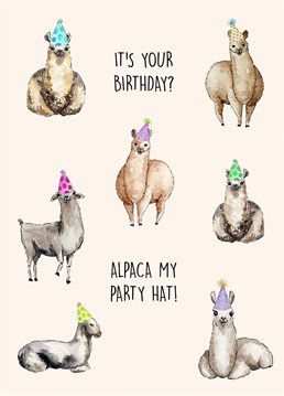 Send this hilarious Alpaca themed card to a loved one to celebrate their birthday.     It's your birthday? Alpaca my party hat!