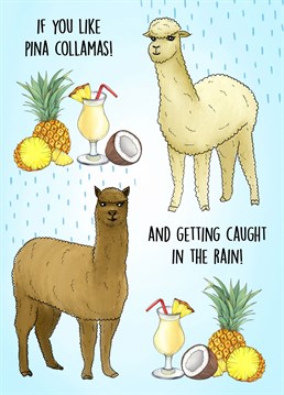 Send this hilariously cute card to a loved one to celebrate their birthday!     The perfect card for a Pina colada drinking llama lover!