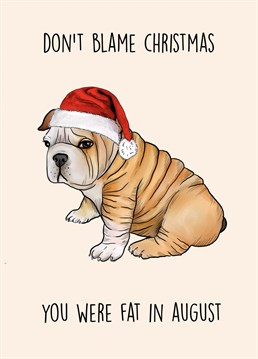 Send this slightly offensive but hilarious card to a loved one who always blames the Christmas holidays for their weight gain!