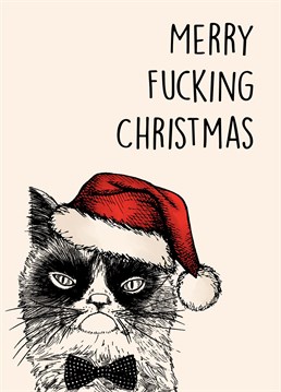 Send this hilarious Angry Cat inspired card to the ultimate Grinch this Christmas! Bah humbug!