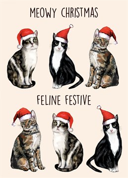 Send this adorable feline themed card to the ultimate cat lover this christmas!