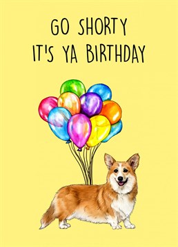 Go Shorty, It's Ya Birthday! Cute Corgi Birthday card