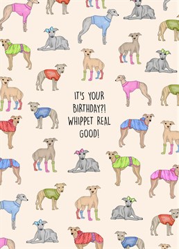 Send this adorable Whippet dog themed card to the ultimate whippet lover on their birthday! This card would even work perfectly as a birthday card from the dog. .
