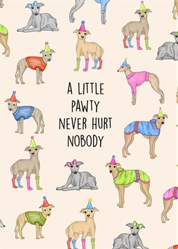 Send this adorable whippet themed card to the ultimate whippet / grey hound lover to celebrate their birthday! Who doesn't love dogs in party hats and socks?!