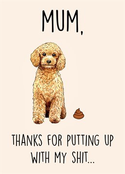 Send this hilarious card to a dog mum this Mother's Day! The perfect card to send from the shitty dog!