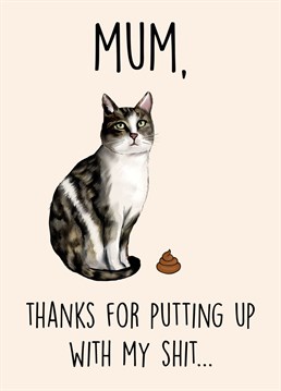 Send this hilarious Mother's Day card to a cat mum! The perfect card to send from the cat