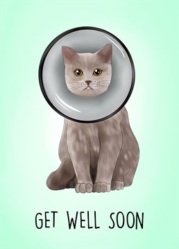 Send this adorable get well soon card to a poorly person who needs a little pick me up! The perfect card for a cat lover