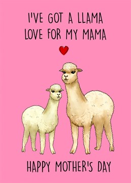 I've got a Llama Love for my Mama. Llama Themed Mother's Day Card