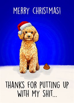 Send this cute, cockapoo inspired card to a dog parent this christmas!