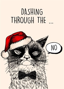 Send this hilarious angry cat inspired card to a Christmas hating scrooge this Christmas!