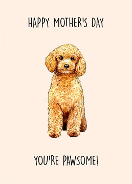 Happy Mother's Day - You're Pawsome! Cute cockapoo themed Mother's Day Card