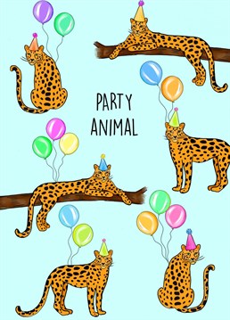 Cute, pretty, partying leopards in party hats with balloons!   Fun illustrative Birthday card