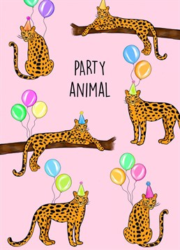 The perfect birthday card for a party animal!    Cute printed leopards having a party with their party hats and balloons