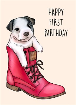 Happy First Birthday - Adorable Pup in a Boot illustration
