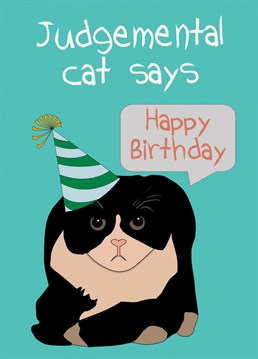 Judgemental cat loves to party! Send his judgement with your birthday wishes. Created by Paperela Cards.