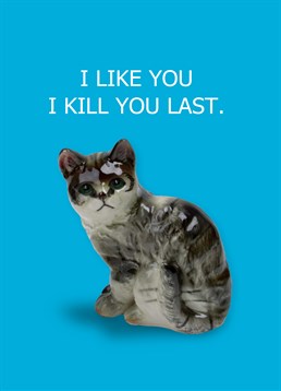 Is their cat always giving you the side eye? Then let your friend know with this Portico Designs Anniversary card.