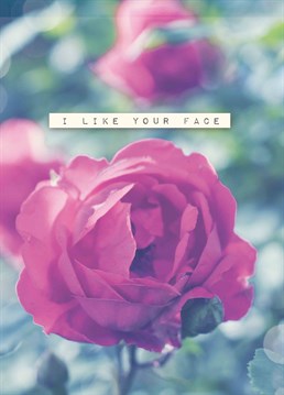 Let them know that their face doesn't insult your eyes like most people's faces with this romantic Anniversary card by Portico Designs.