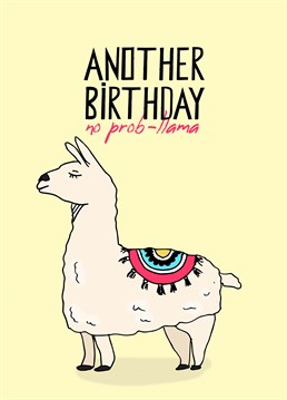 Ahh, spit happens! Am I right, llama? Help them to embrace another year older with this funny birthday design by Pearl Ivy.