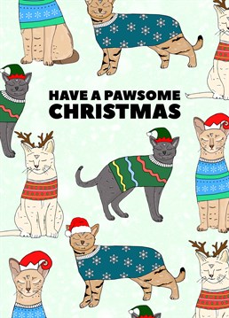Wish them a meowgical Christmas with the purrfect card by Pearl Ivy.