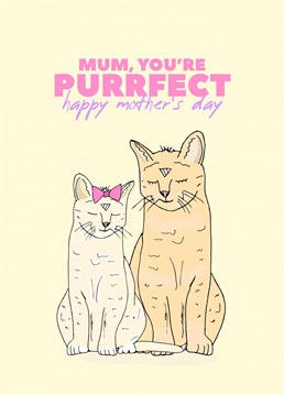 Mum, you're Purrfection. Send a Smile this Mother's Day.