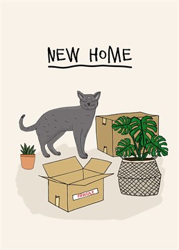 Nothing says welcome home like house plants and a furry friend! If this is their dream situ, they'll be all over this Pearl Ivy new home card.