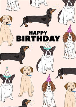 Put your paws up and get ready to party! Send a dog lover's dream on their birthday with this seriously cute Pearl Ivy card.