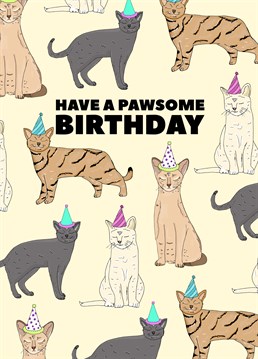 Put your paws up and get ready to party! Send a cat lover's dream on their birthday with this seriously cute Pearl Ivy card.