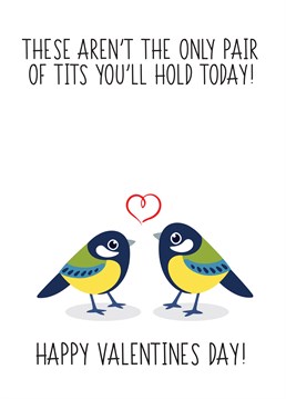 A nice pair of fluffy tits to celebrate Valentine's day, for him or her!