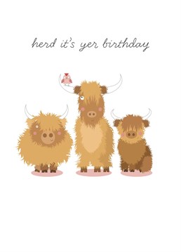 Who could resist these silly highland coos on their birthday? Designed by Pink Pig