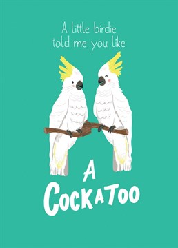 Wish a cheeky Happy Birthday to that someone who is a fan of a cockatoo!