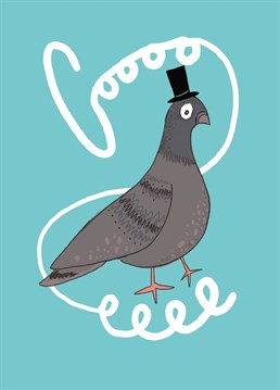 Say a big cooee to someone with this pigeon card.