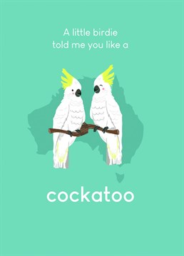 Send this cheeky card to someone who'd appreciate a cockatoo!