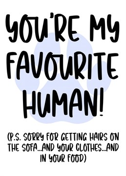 You're my favourite human.