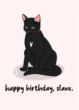 Slave Card. Send your friend this Funny Birthday card by Pink And Pip