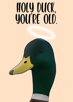Holy duck, you're old.. Send them this hilarious Birthday card by Pink And Pip and put a smile on their face.