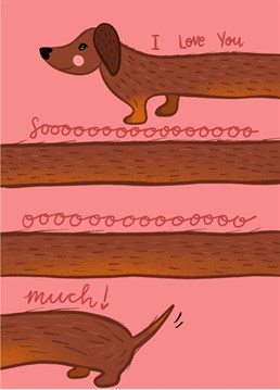 The perfect valentines card for your him or her especially if they love sausage dogs!