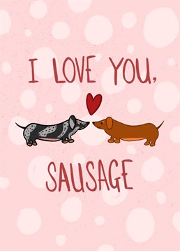 Happy Valentine's Day - Show your love with this cute Dachshund themed card.