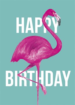 Send this stylish Paper Plane Birthday card to that elegant flamingo in your life!