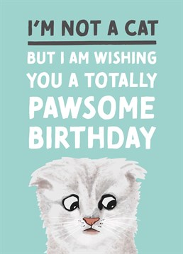 Uhhh...I'm not a cat but I'm willing to go forward with it. Give your loved one a giggle with our Zoom Kitty birthday card!