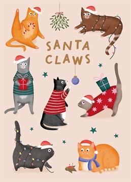 Send your cat-loving partner, friend or family member this cute pun Christmas card. Featuring seven illustrated Christmas cats and the caption 'Santa Claws!'