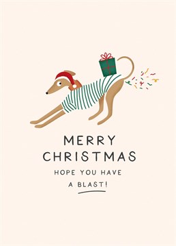 Dog Confetti - Cute / Funny Christmas Card