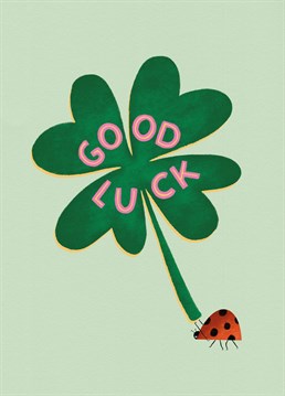 Perfect for exam season or a new job, send some good luck to your loved one with this sweet Good Luck card, featuring a ladybug carrying a four leaf clover.