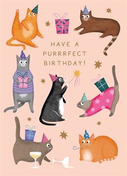 The 'purrrfect' card for any friend that's a fan of felines, this party cats birthday card is sure to make them smile.